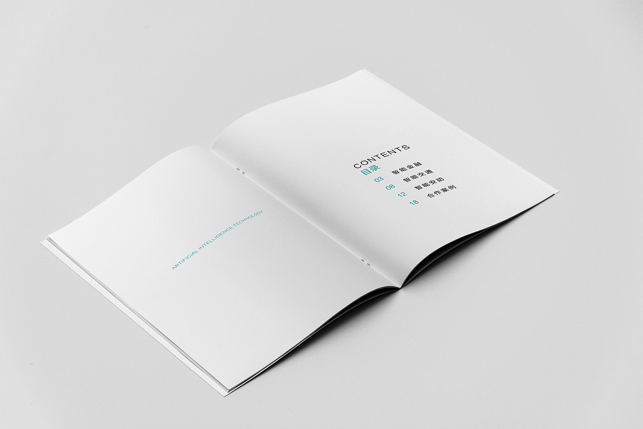 画册（图ZMTEyMTMwMzI0） - 宣传物料 - 站酷设计师张兮嘻原创素材 - 站酷ZCOOL