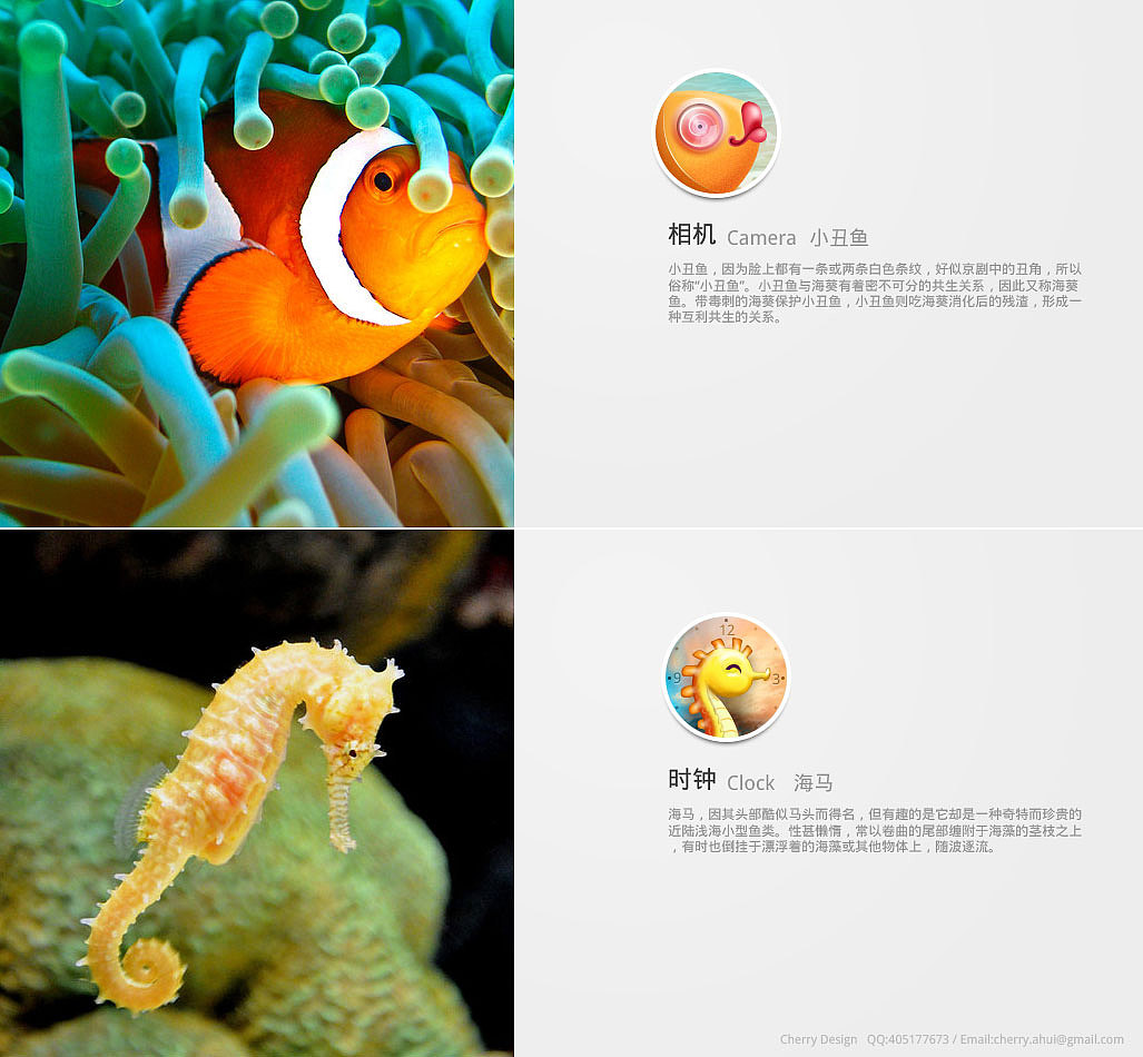 海洋（图ZNjIzODQxMg==） - 主题/皮肤 - 站酷设计师慧兮若兮原创素材 - 站酷ZCOOL