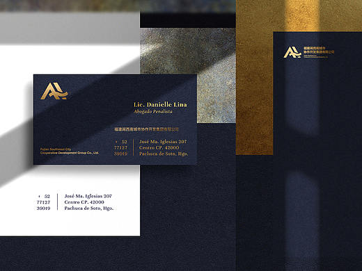 福建闽西南城市协作开发集团