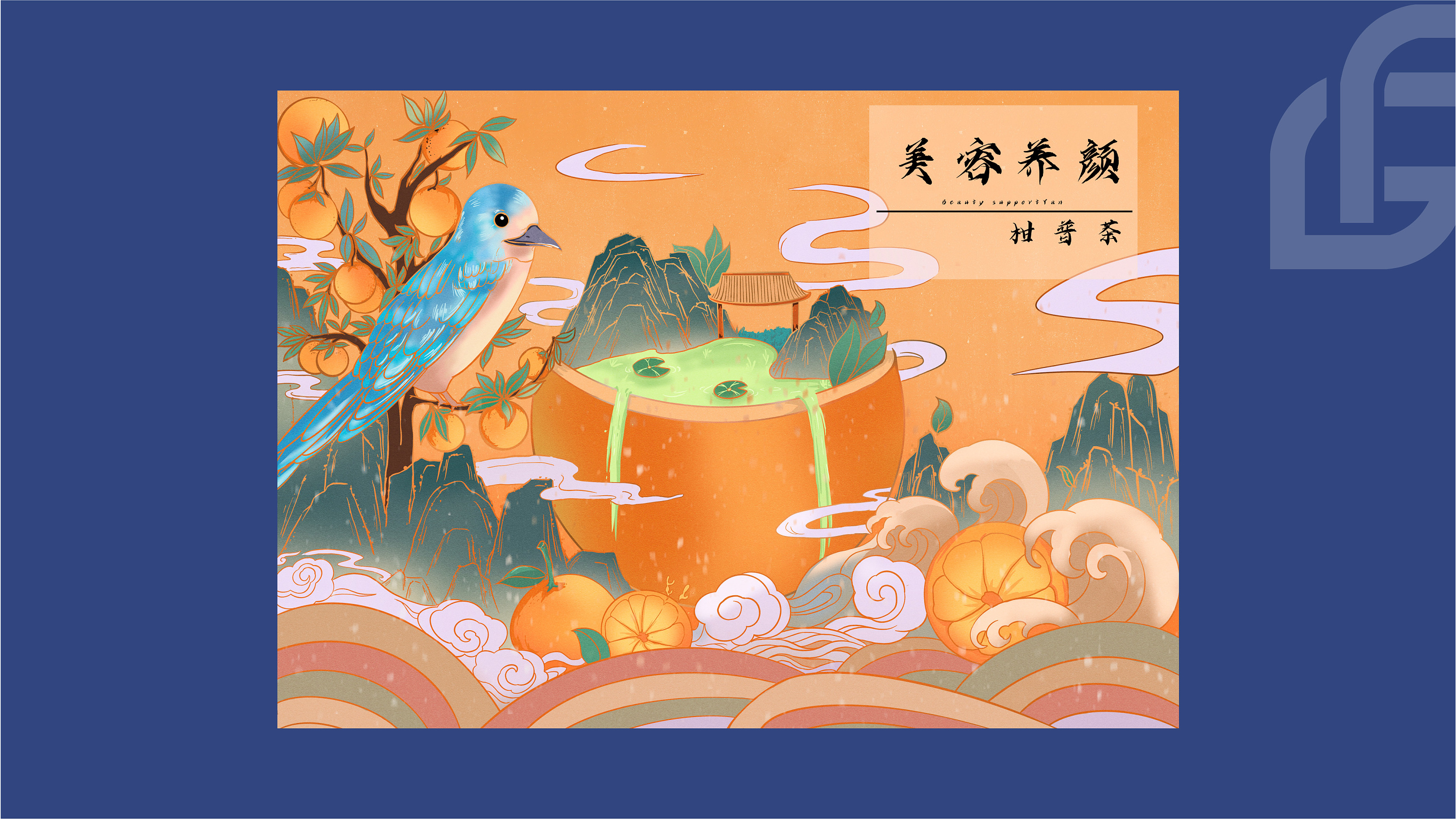 柑普茶包装设计