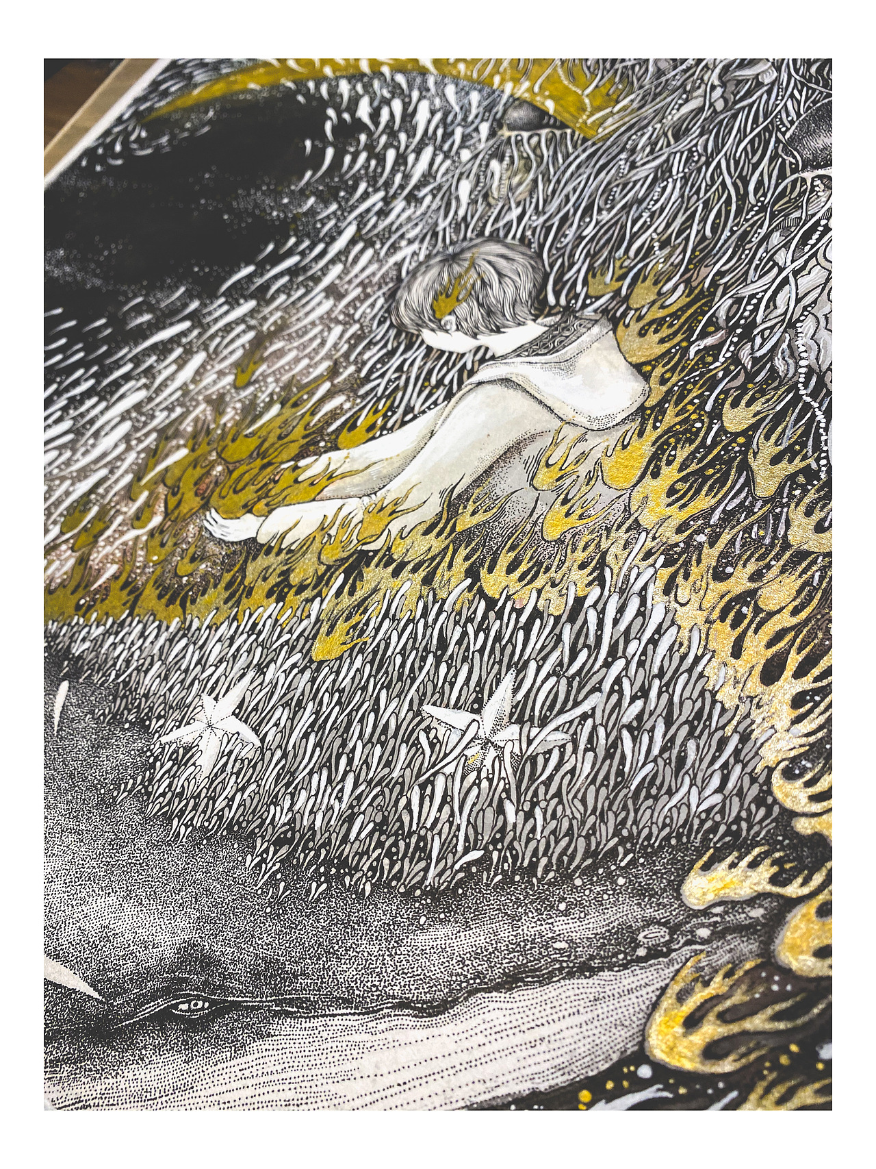 洄游鯨夢-焚化-取心（圖ZMTk3ODYyNzM2） - 概念設(shè)定 - 站酷設(shè)計(jì)師橘子座原創(chuàng)素材 - 站酷ZCOOL