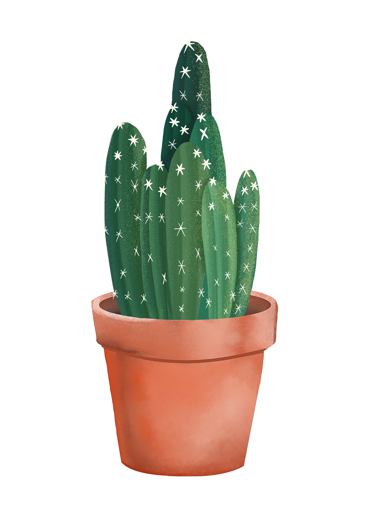 百图绘01(仙人掌)|插画|插画习作|老龚龚 - 原创作品 - 站酷 (zcool)