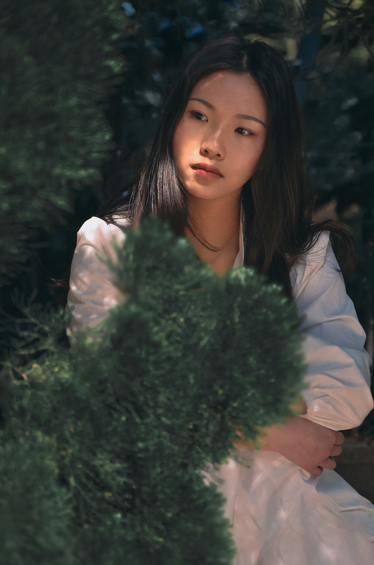 南有乔木（图ZMjUzMDg2MzU2） - 人像摄影 - 站酷设计师羊毛礦視物所原创素材 - 站酷ZCOOL