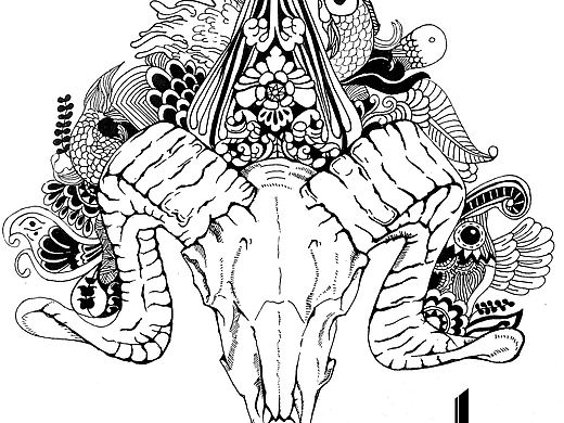 动物系列-黑白手绘装饰画