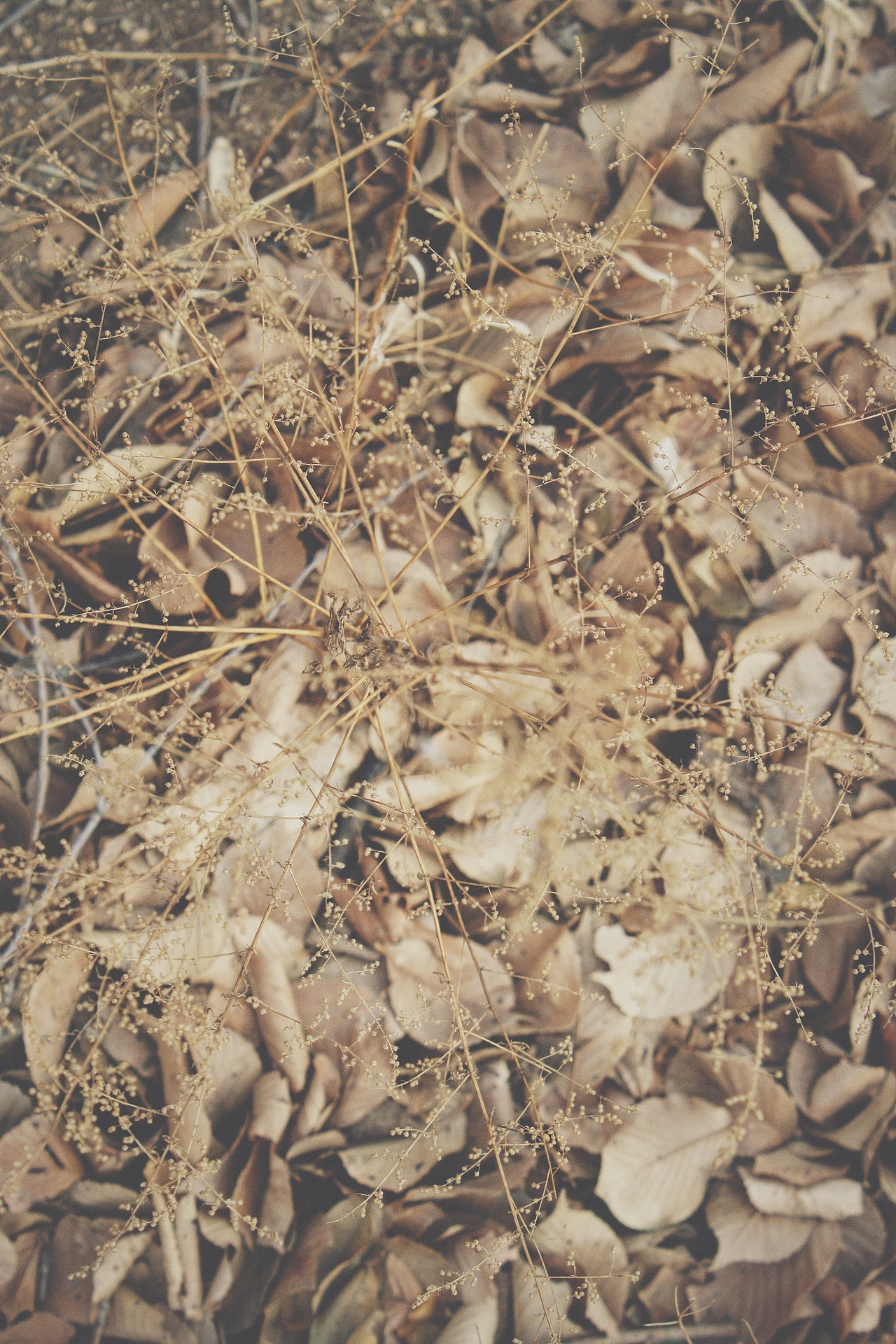 午休公园转一圈