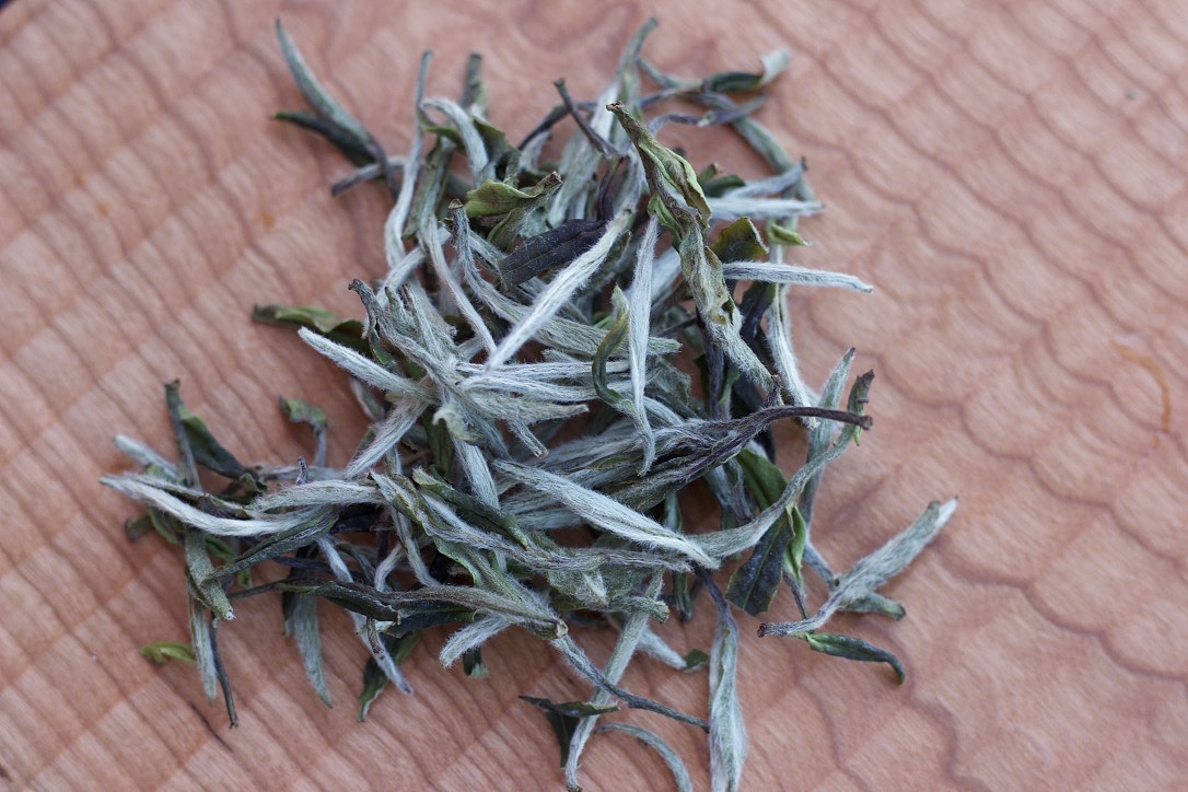 唤醒春之气息—白牡丹白茶