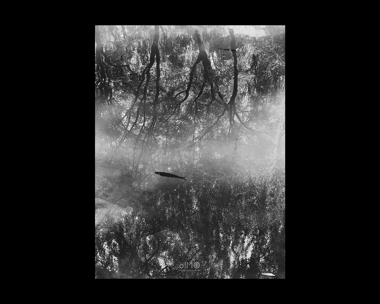 2019 | 手机摄影合集