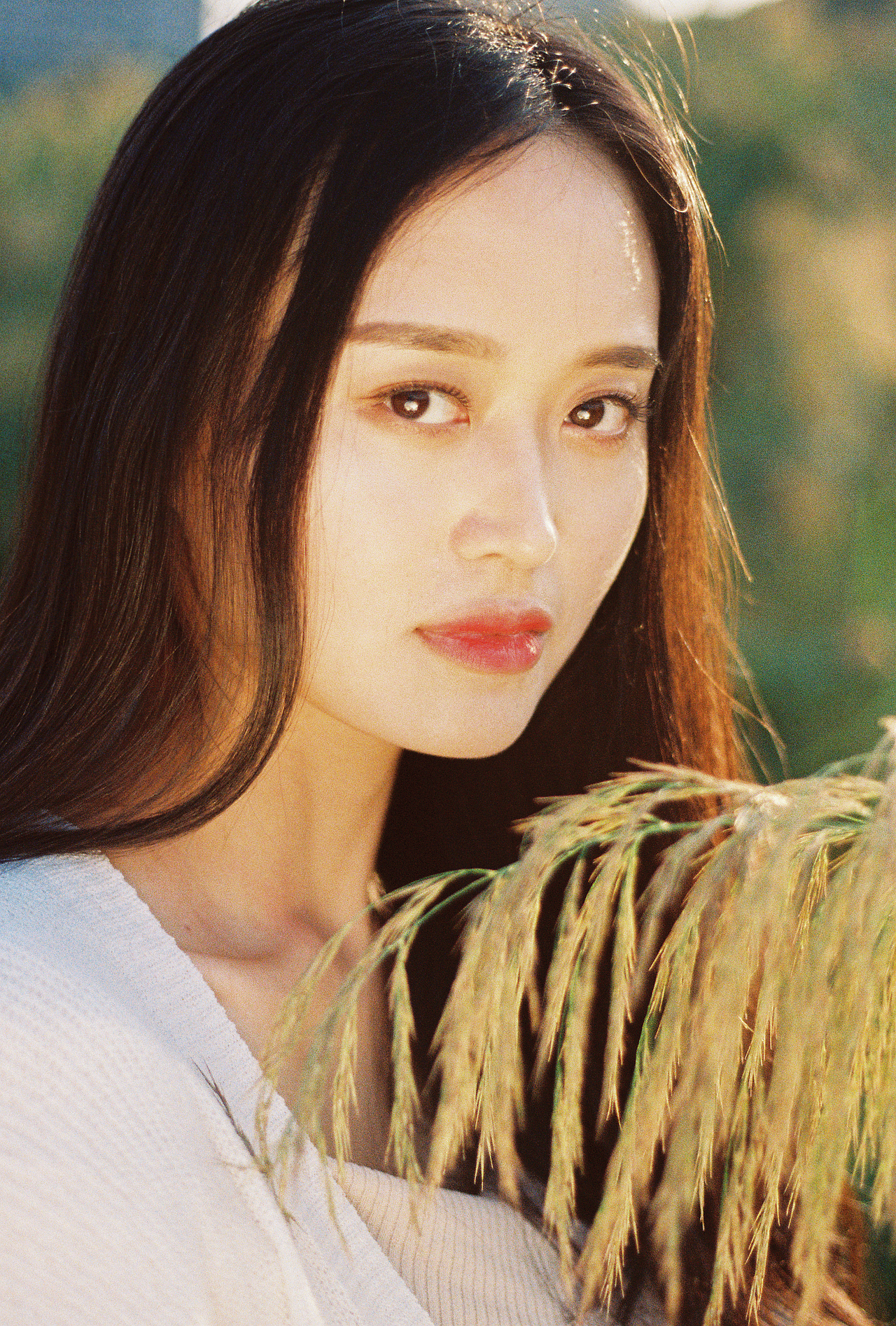 光影、绿色和下午四点的胶片