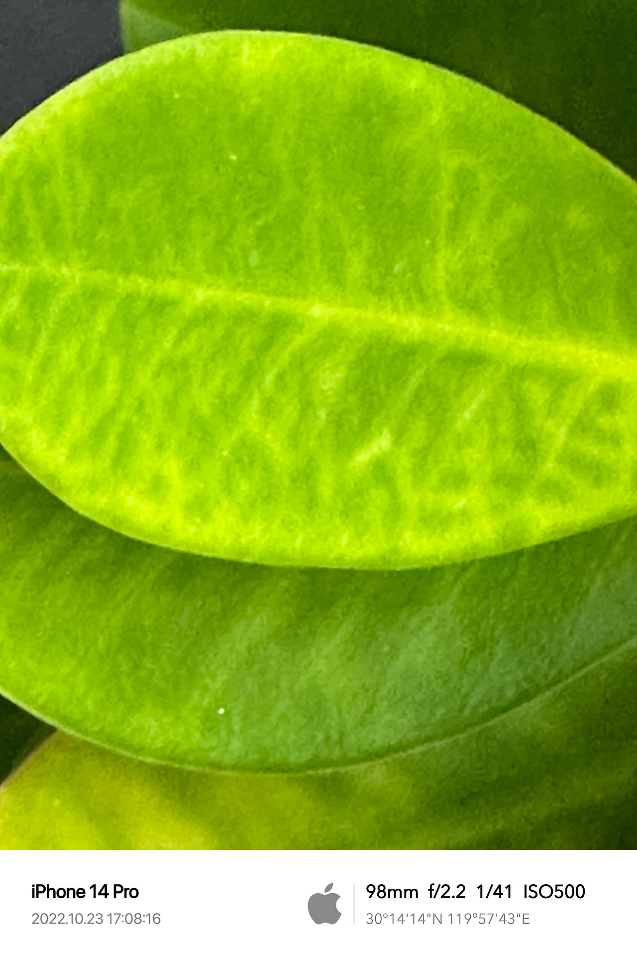 Clint手机摄影/生活观察2022Q4（图ZMzQ1ODI5MzU2） - 人文/纪实摄影 - 站酷设计师Clint克林原创素材 - 站酷ZCOOL