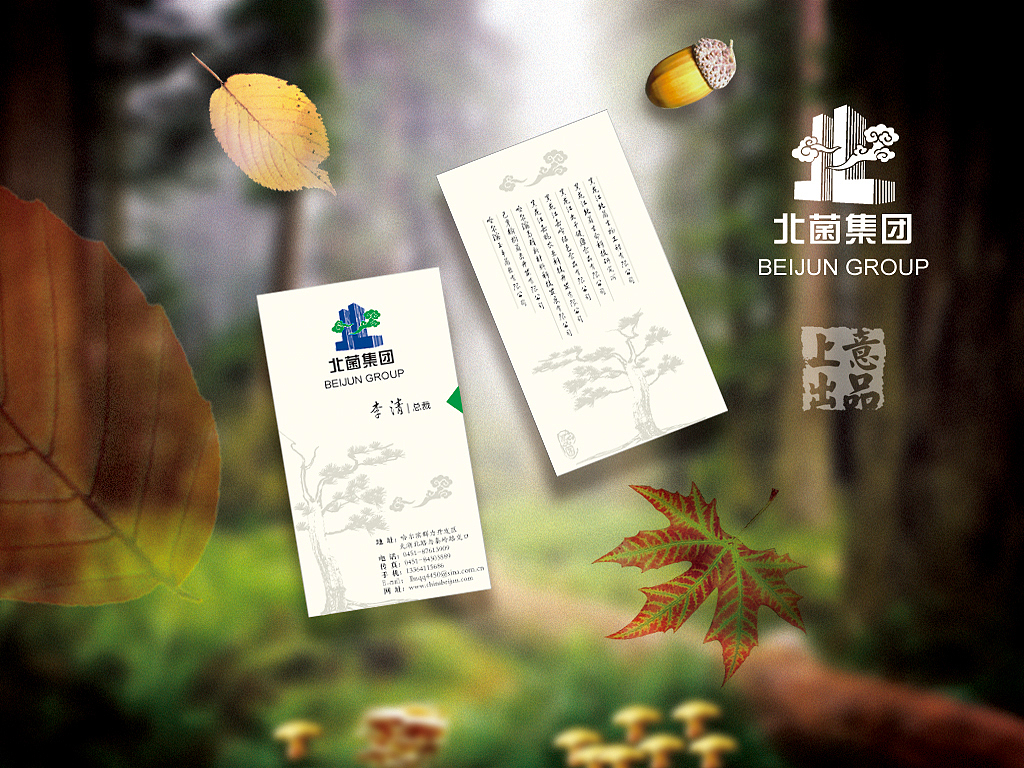 卖菌类制品的公司