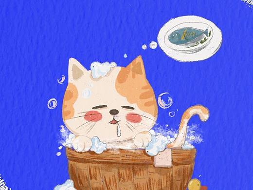 小馋猫