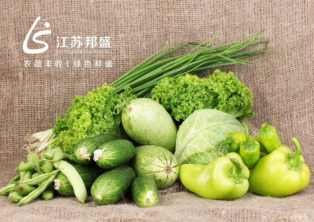 江苏邦盛 - 视觉提案（图ZNjMyODMyMzY=） - Logo - 站酷设计师张笠原创素材 - 站酷ZCOOL