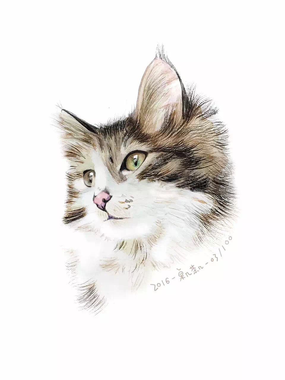 #存图# 没完成的100只猫（图ZMTc0MDM1OTEy） - 创作习作 - 站酷设计师汪野心原创素材 - 站酷ZCOOL