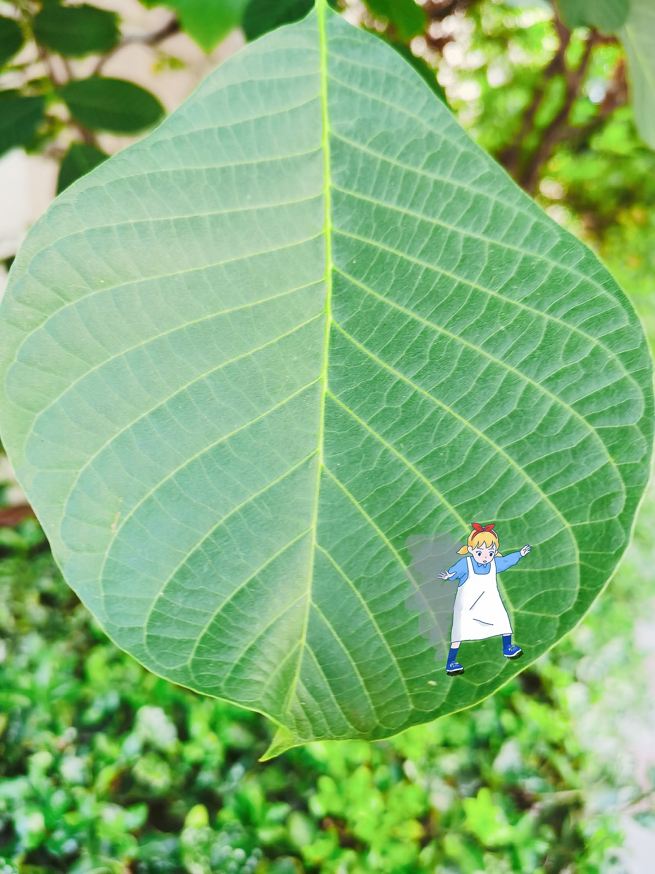 夏の尾（图ZMjIzNDE2NTY4） - 风光摄影 - 站酷设计师睡不醒珠珠女侠原创素材 - 站酷ZCOOL