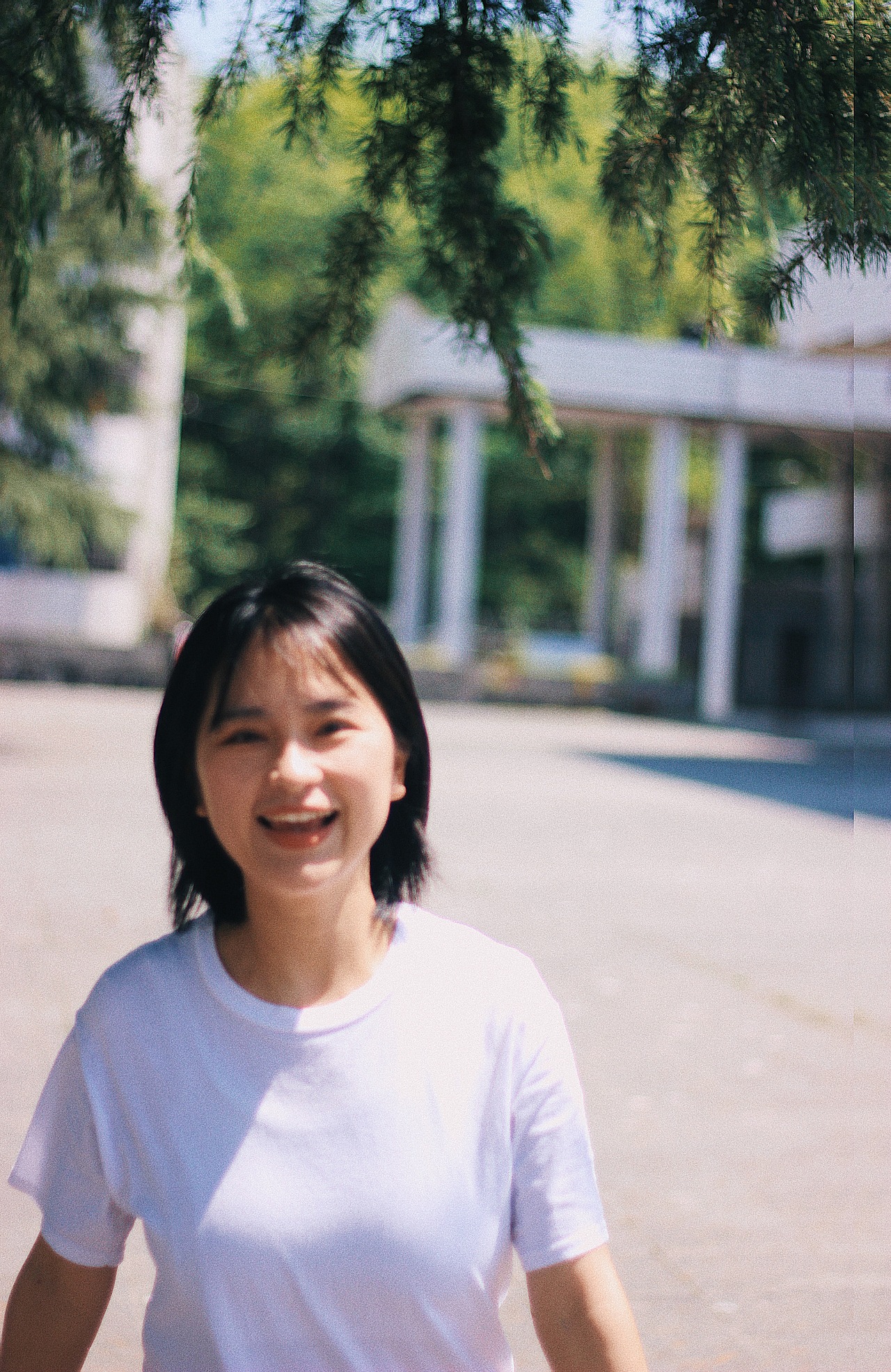 【2020】摄影总结