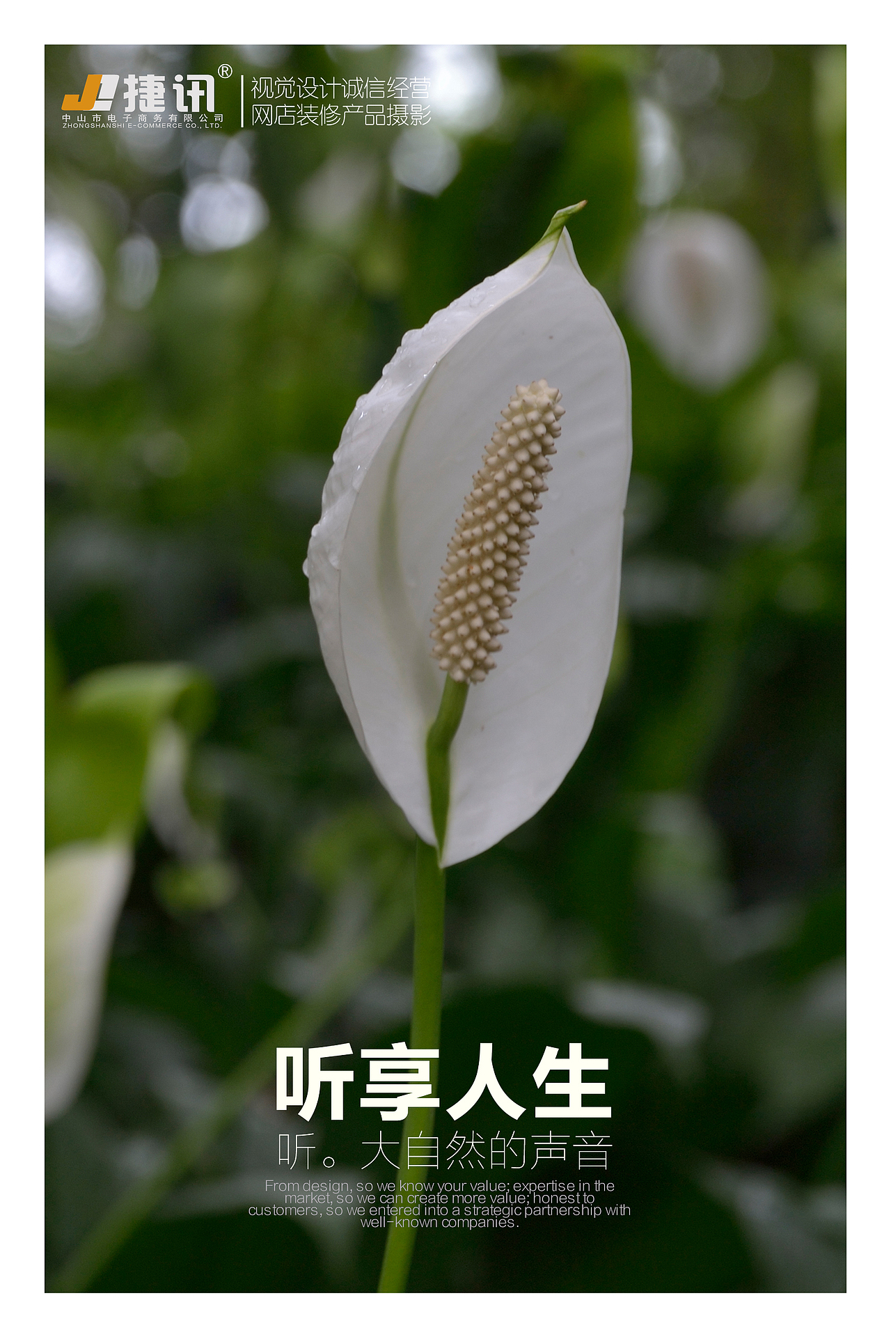 摄影（图ZMTIwNTQ2MDYw） - 产品摄影 - 站酷设计师萧邦纳图原创素材 - 站酷ZCOOL