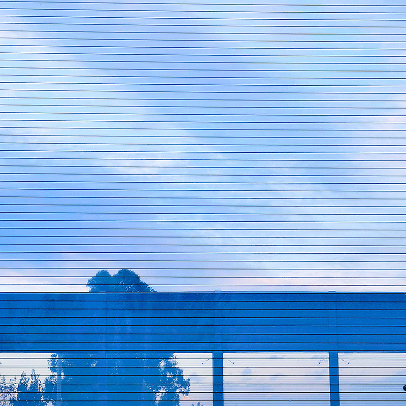 2021年手机摄影总结