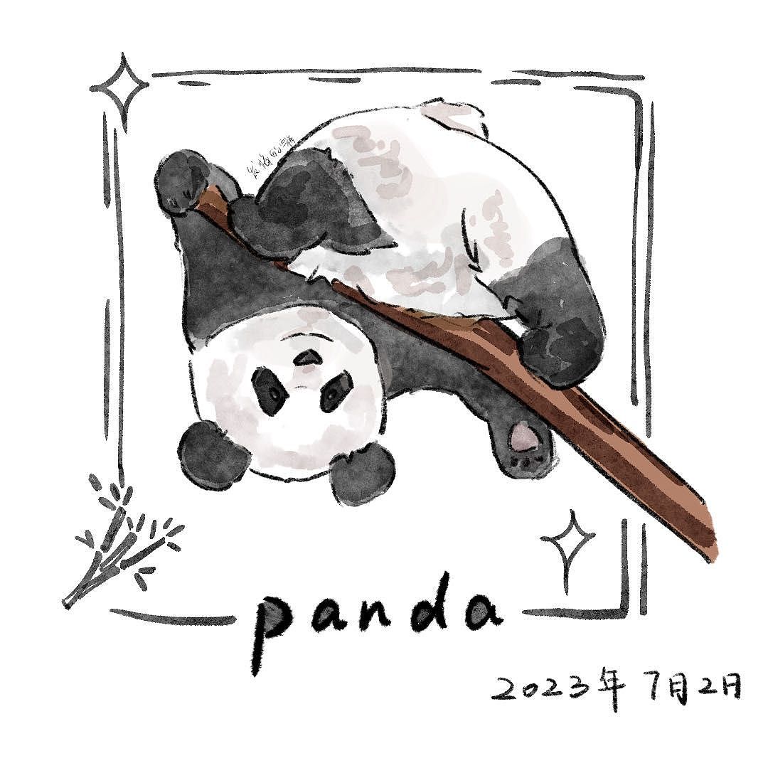 熊猫🐼