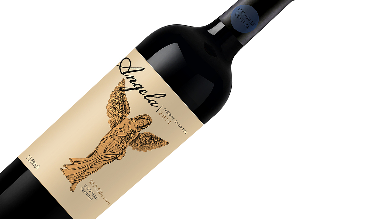 红酒果酒包装设计