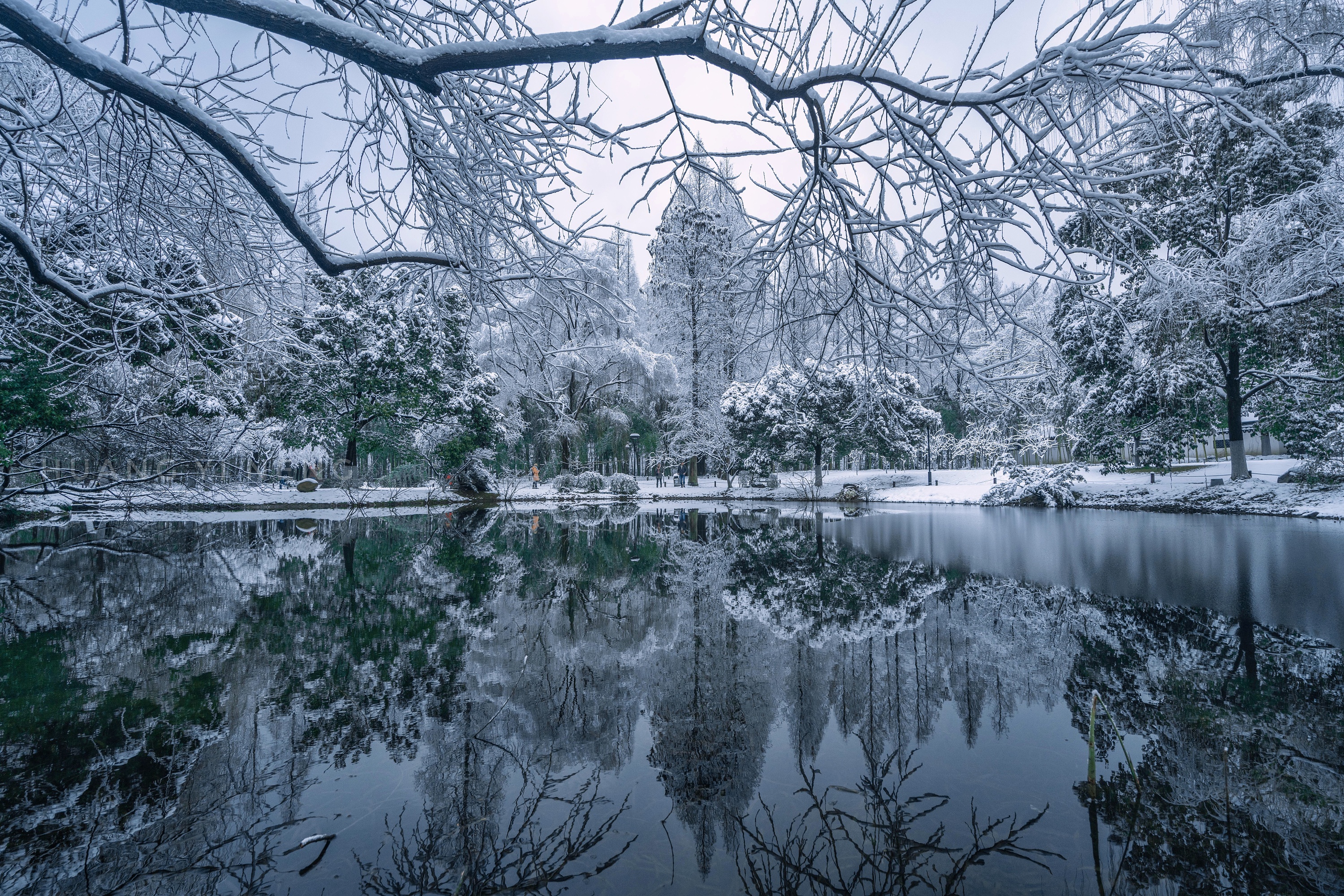 2022杭州雪景生活真实图片