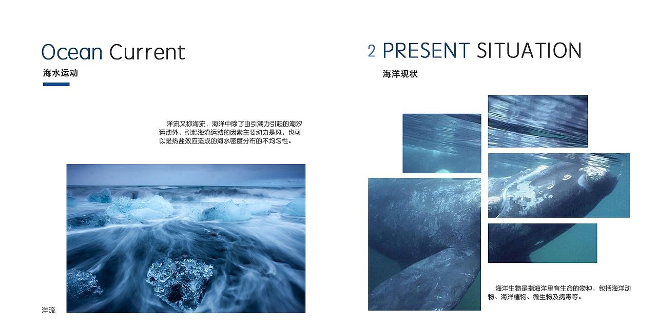 海洋保护宣传册（图ZODc0MzUwNzI=） - 书籍/画册 - 站酷设计师猫神咕咕原创素材 - 站酷ZCOOL