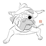顽形的头像