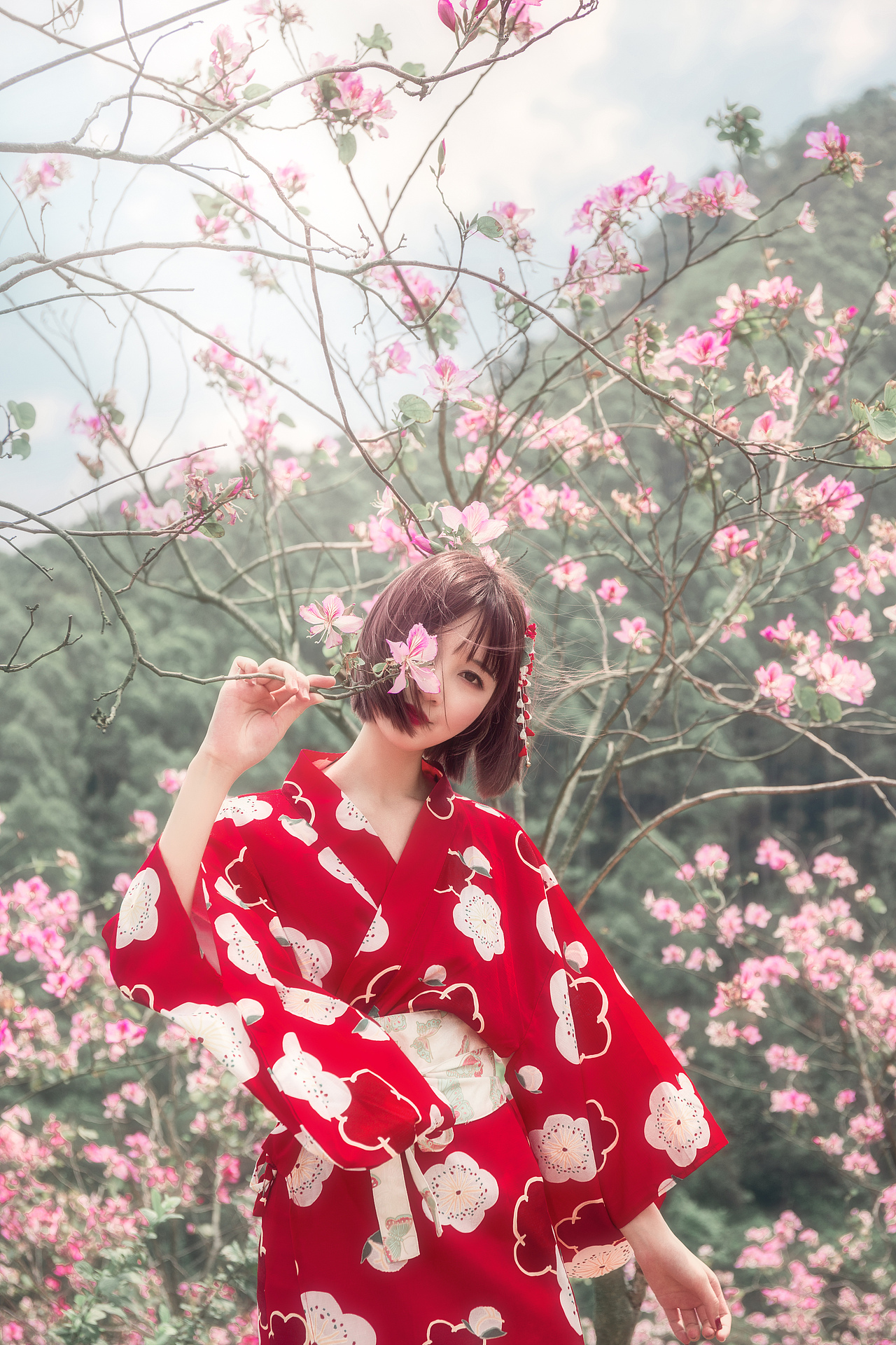 唯美柔和紫荆花人像