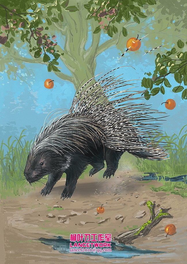 油画风格动物插画