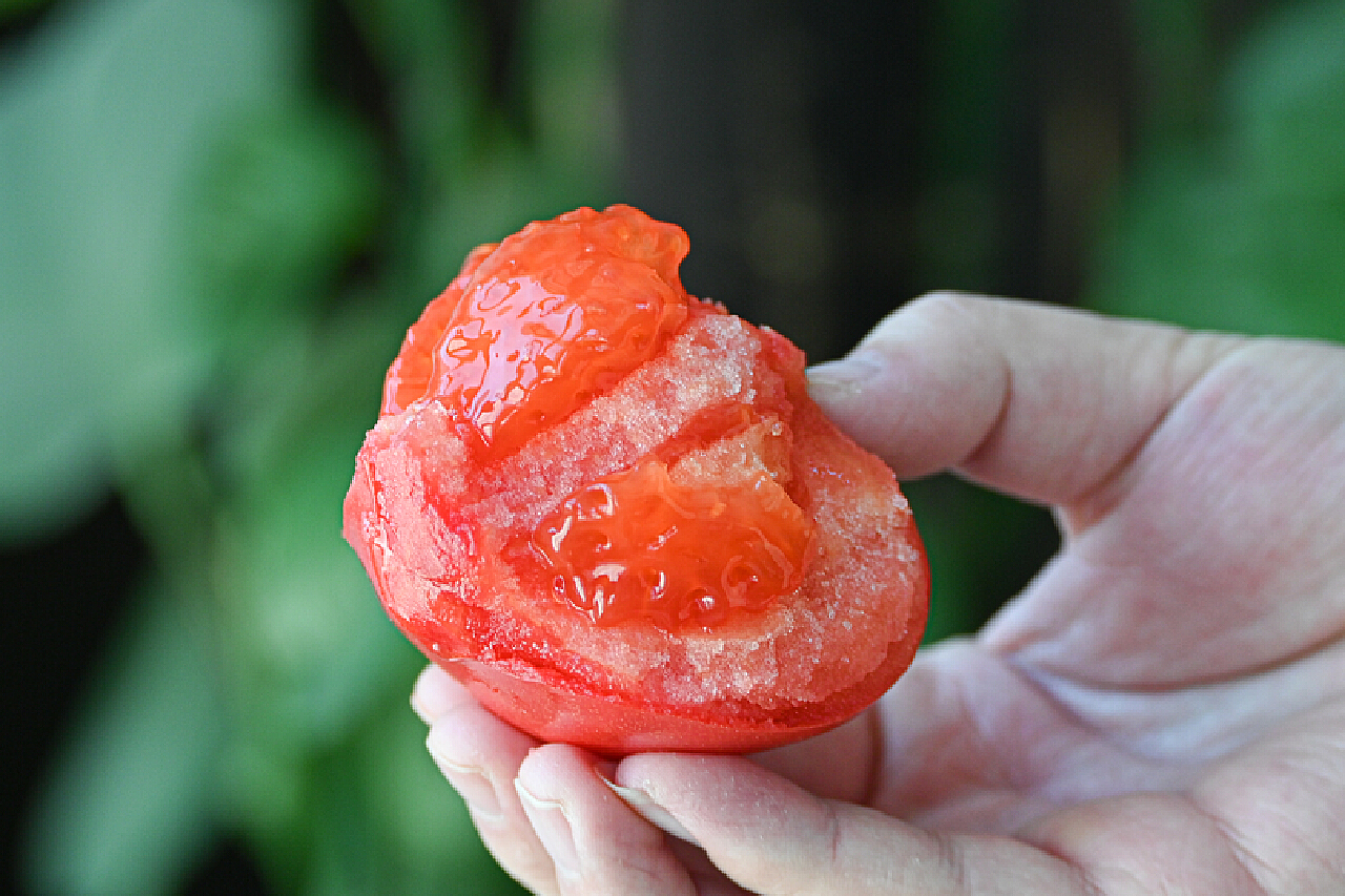 普罗旺斯西红柿 山东海阳西红柿 快递 大番茄 4.5斤净重沙瓤番茄-阿里巴巴