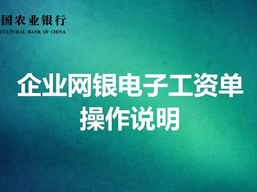 企业网银电子工资单操作说明视频
