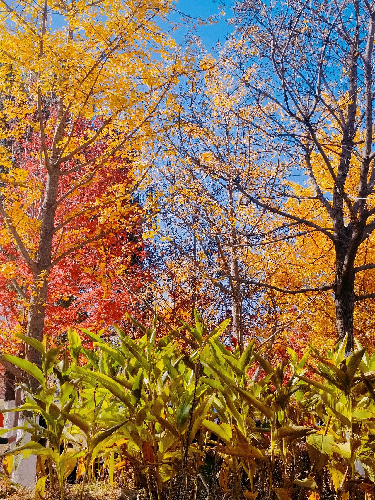 沈阳花间道运动公园（1）