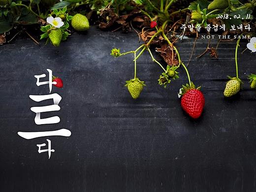 春节前一周，每日一创作