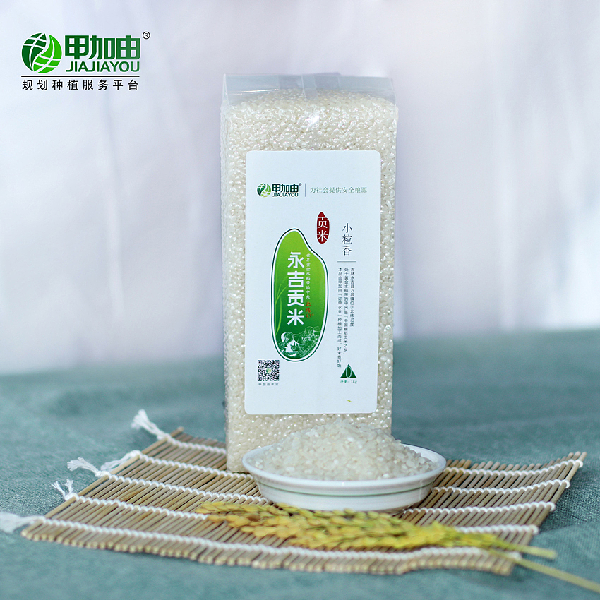 大米包装（图ZMTEyOTU3NDg4） - 包装 - 站酷设计师薄荷味的笑原创素材 - 站酷ZCOOL