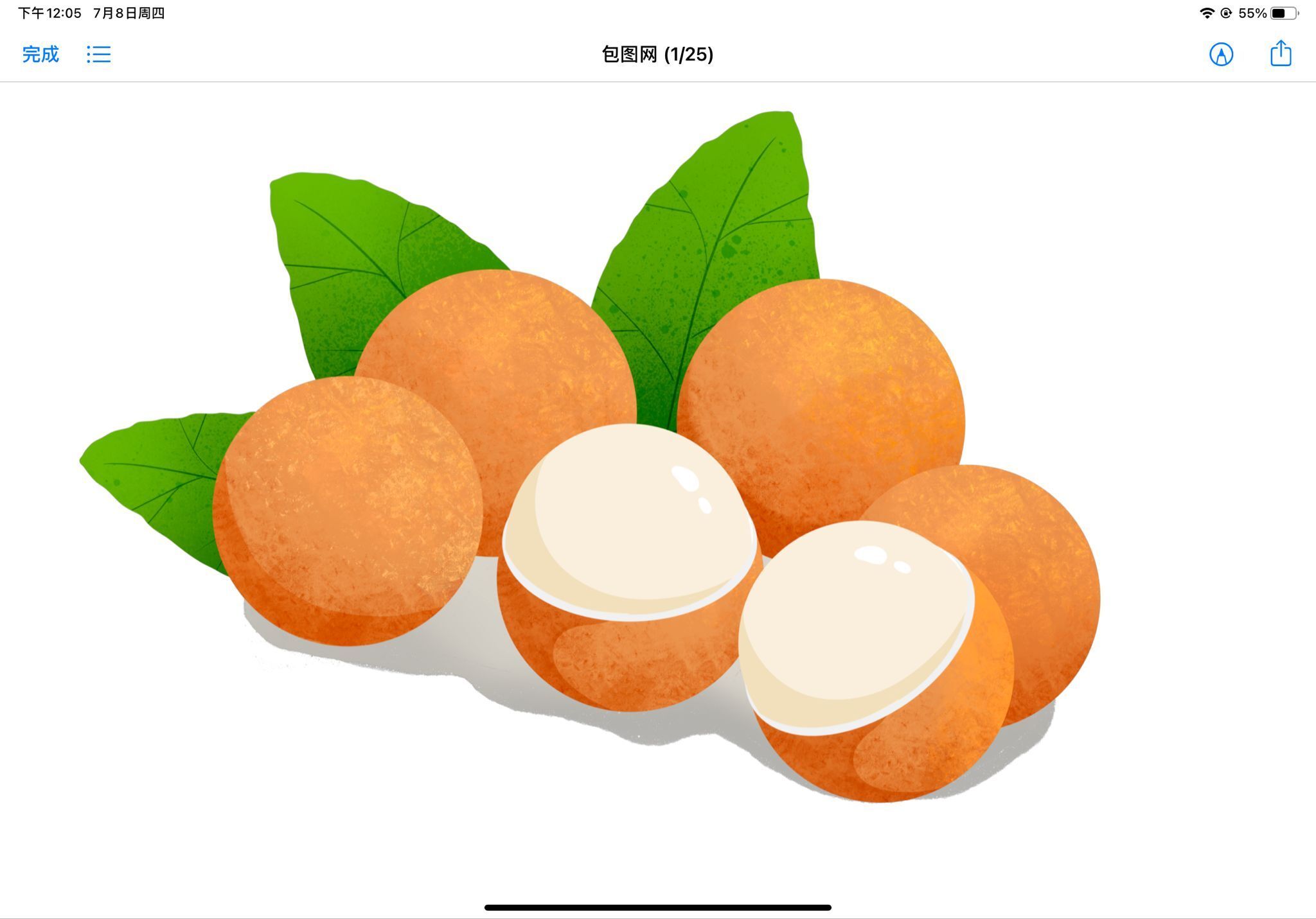 水果龙眼柿子端午节粽子龙舟元素