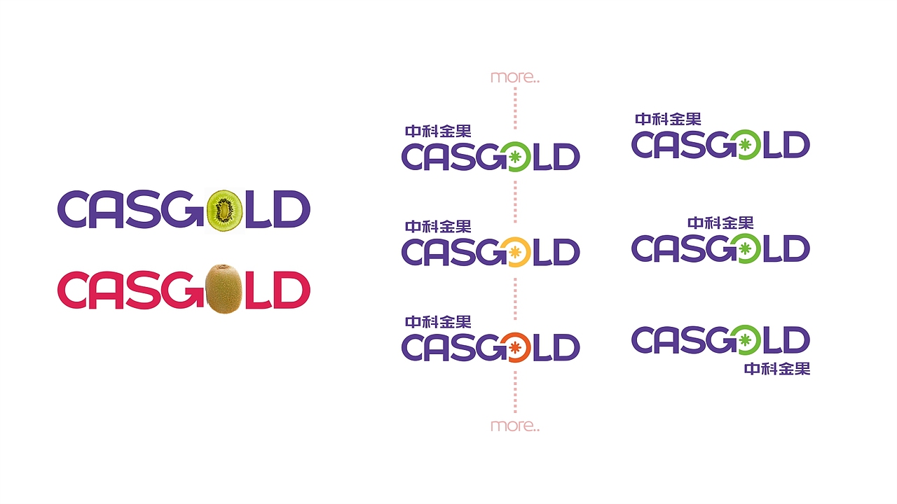 中科金果CASGOLD品牌形象设计