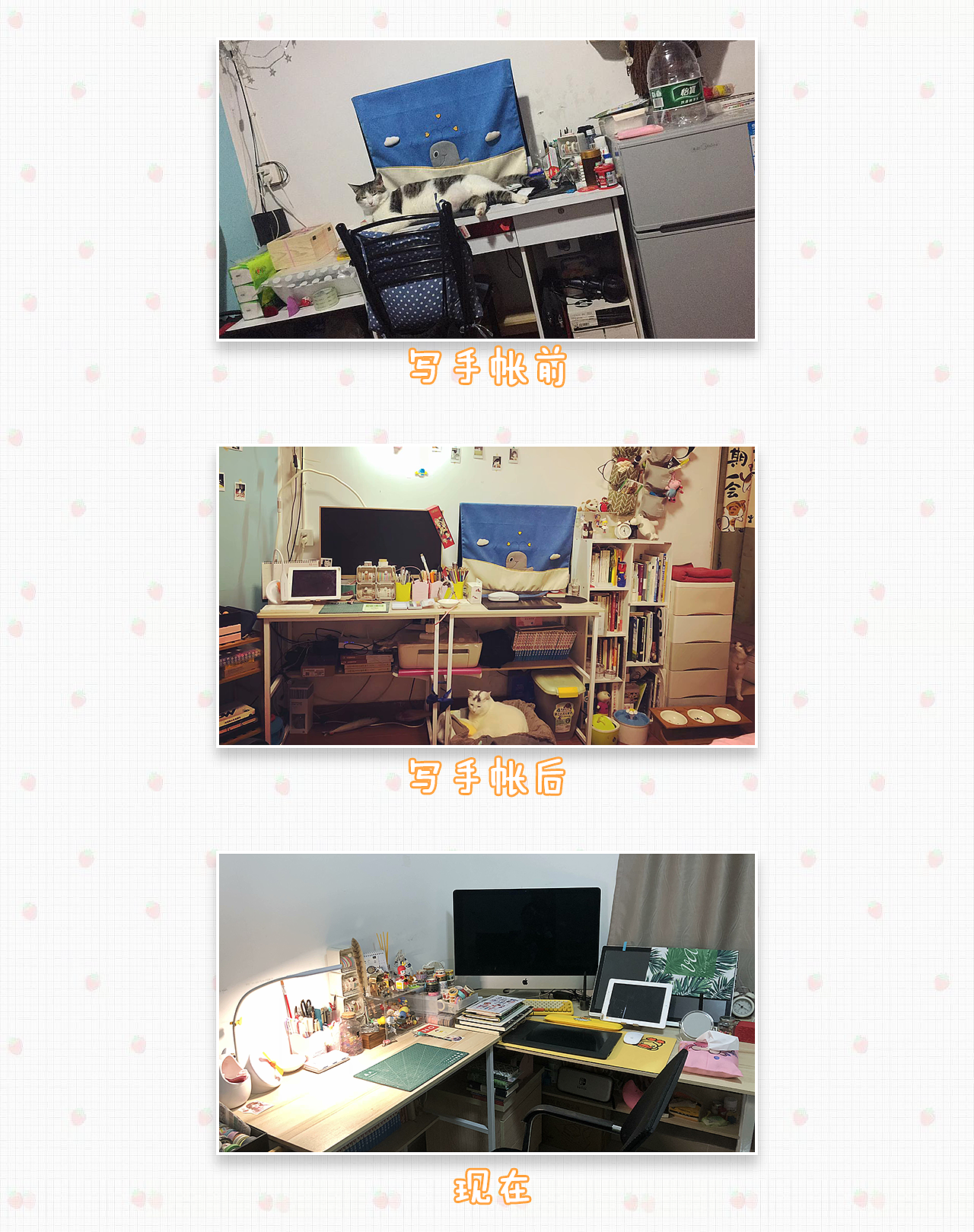 自从开始写手帐，我的变化有多大？（图ZMTk3MTA3OTI0） - 新锐潮流插画 - 站酷设计师torri原创素材 - 站酷ZCOOL