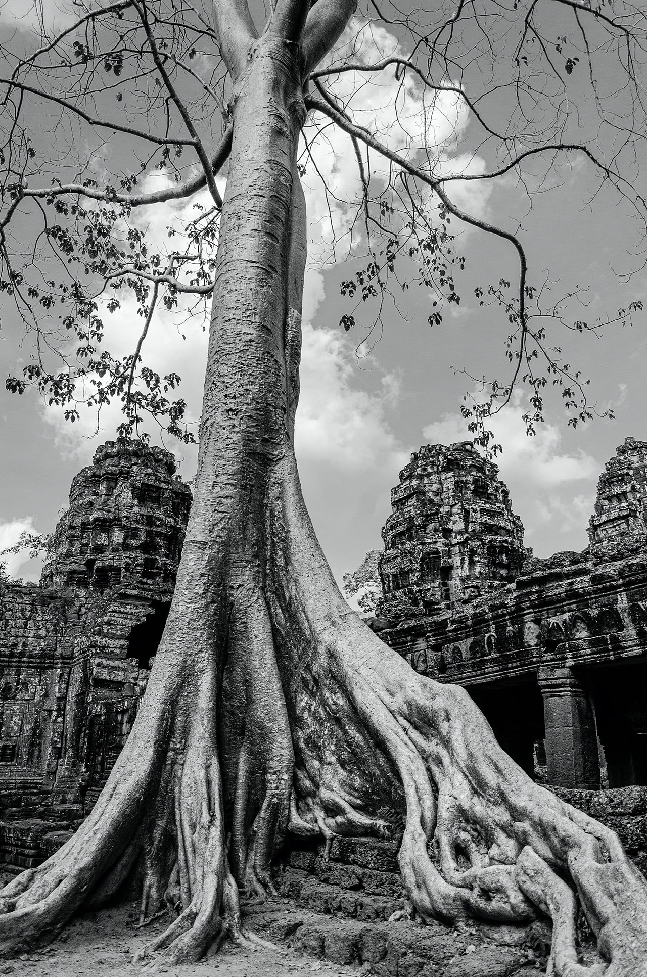 【摄影】柬埔寨-吴哥之美