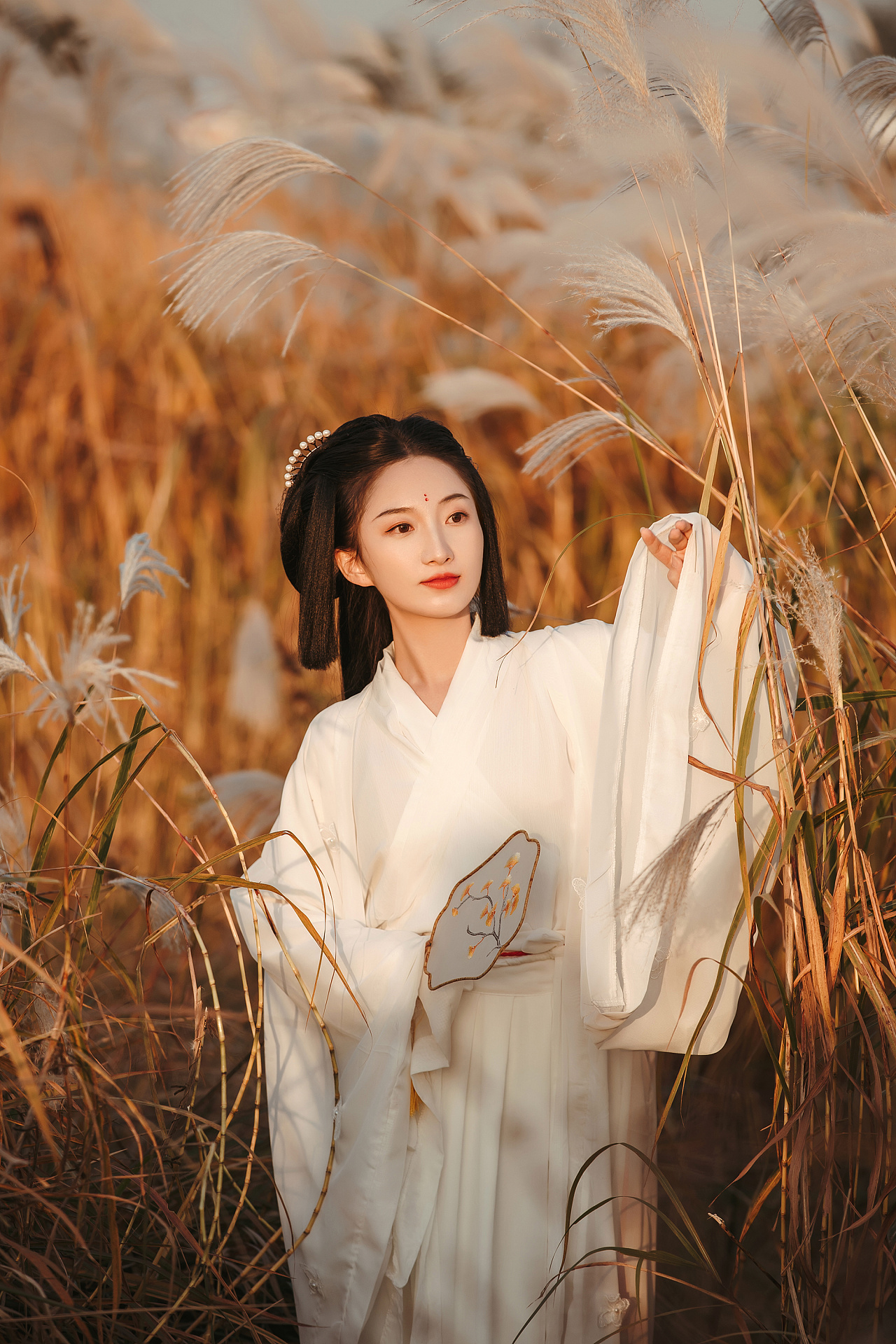 芦花与神明少女