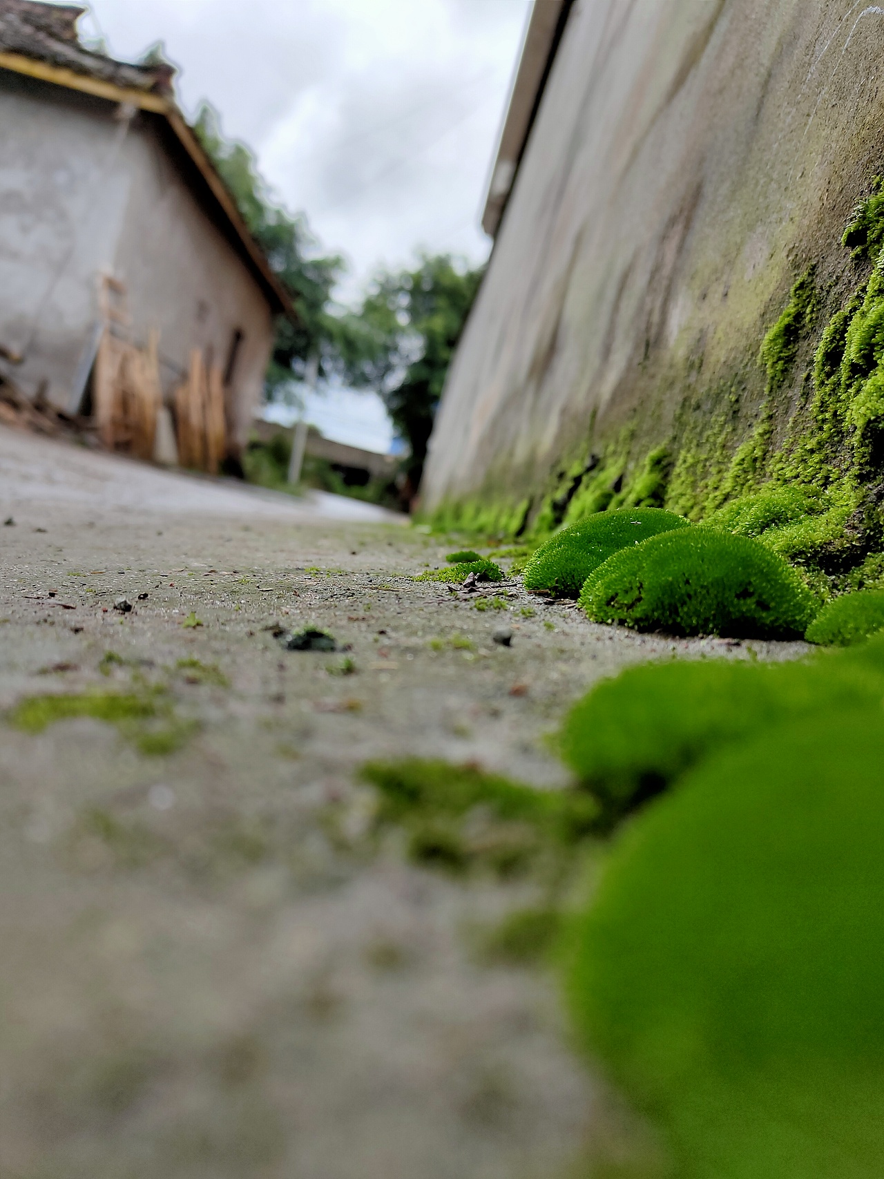 隨手拍（圖ZMjM3NTI2MDc2） - 風(fēng)光攝影 - 站酷設(shè)計(jì)師何處尋安暖原創(chuàng)素材 - 站酷ZCOOL