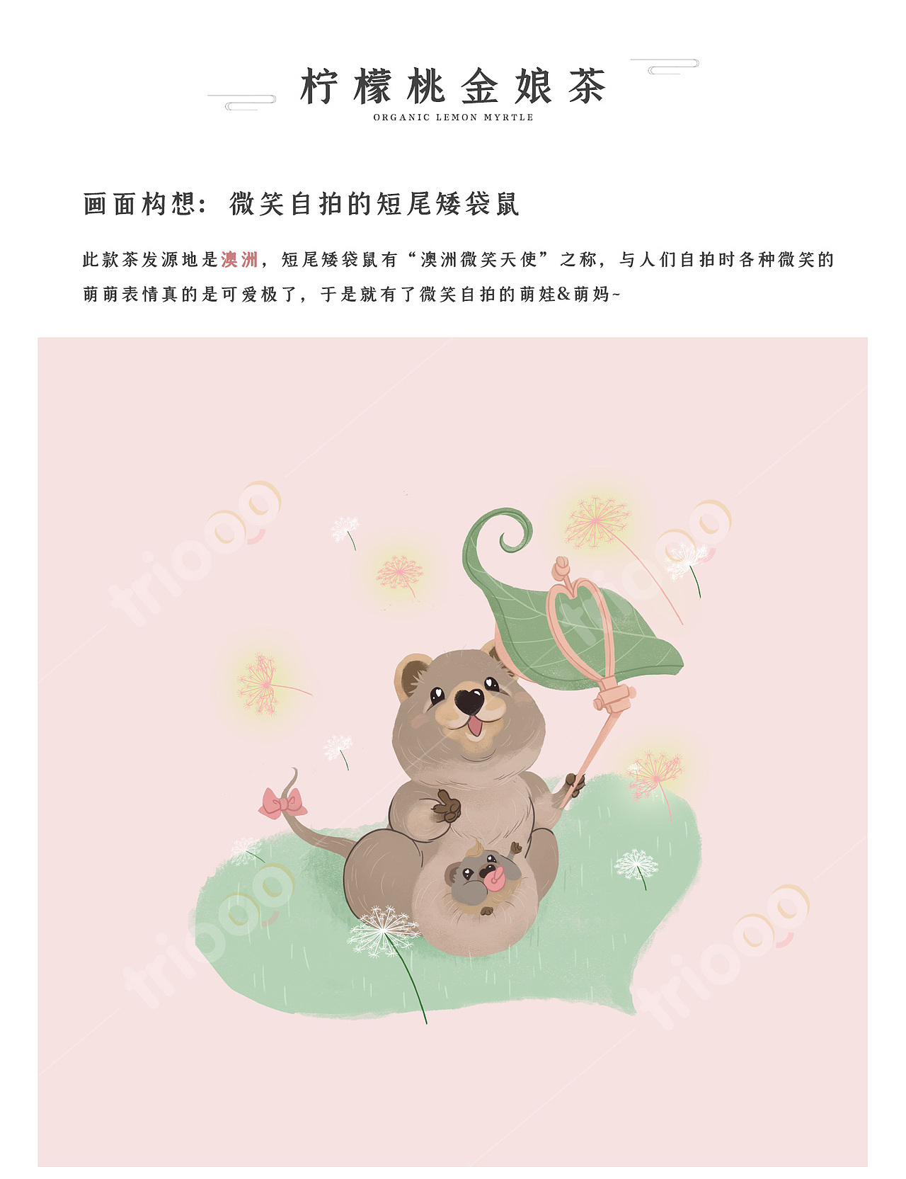 茶之趣画——有故事的包装插画（图ZMjUzMDc3MjI0） - 商业插画 - 站酷设计师猫躺躺躺躺躺躺原创素材 - 站酷ZCOOL
