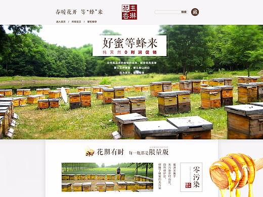 电商 首页 农产品 蜂蜜 蜂巢蜜 蜂胶