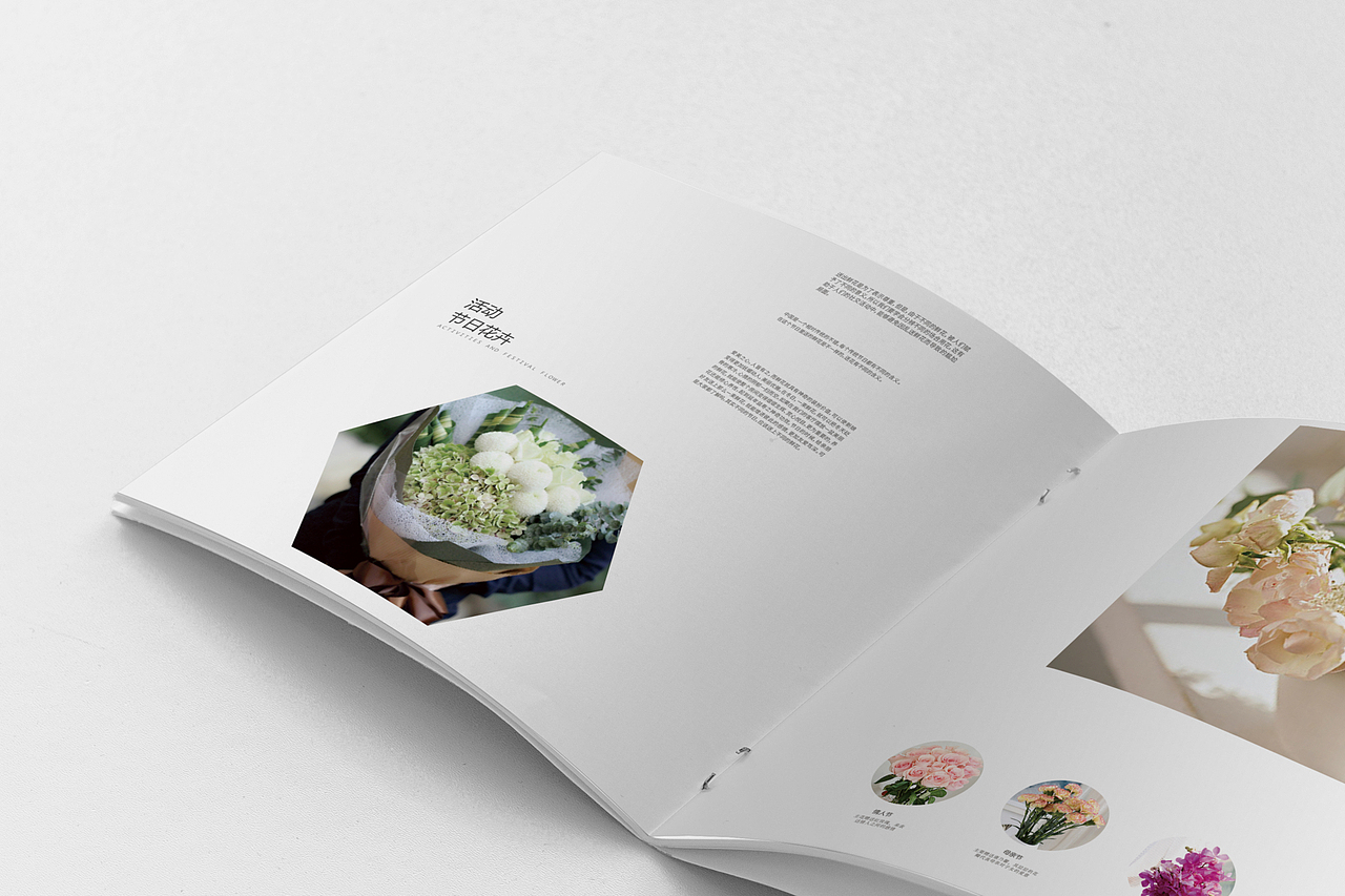 画册（图ZMTYwMjgwOTYw） - 书籍/画册 - 站酷设计师忒能苏原创素材 - 站酷ZCOOL