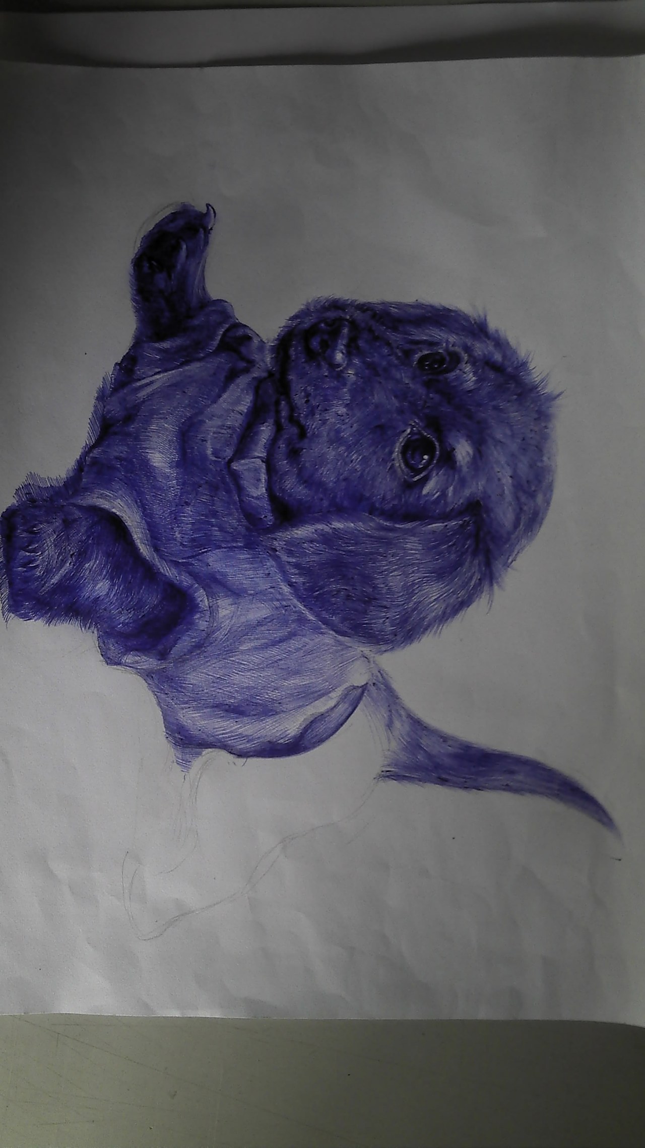 圆珠笔画1p|插画|创作习作|nhwd111 - 原创作品 - 站酷 (zcool)