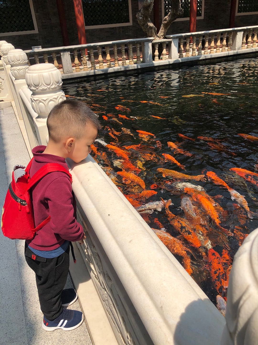 小猴亲自子系列《宝墨园的鱼》（图ZMjAxOTUyODg4） - 概念设定 - 站酷设计师HazelLee1228原创素材 - 站酷ZCOOL