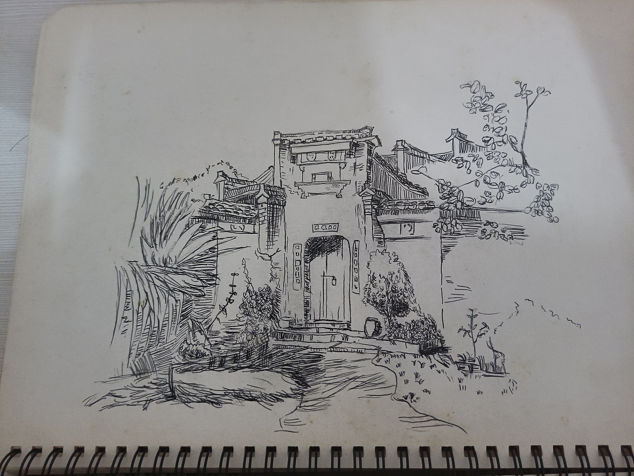 针管笔画及马克笔彩铅画