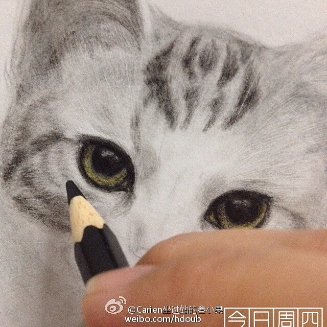 喵里生花-叁（图ZMTYyMjM3MTAw） - 新锐潮流插画 - 站酷设计师喵画嘉嘉原创素材 - 站酷ZCOOL