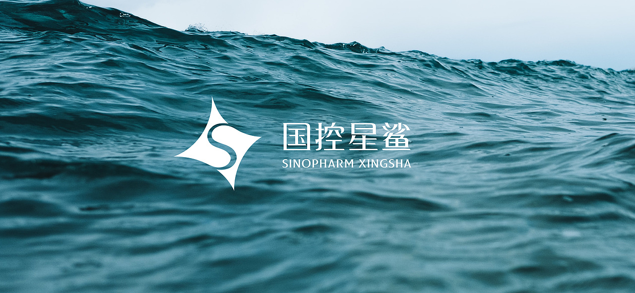 云龙鱼水，星鲨闪耀（图ZMjk0NDY0MTQw） - Logo - 站酷设计师yicheng777原创素材 - 站酷ZCOOL