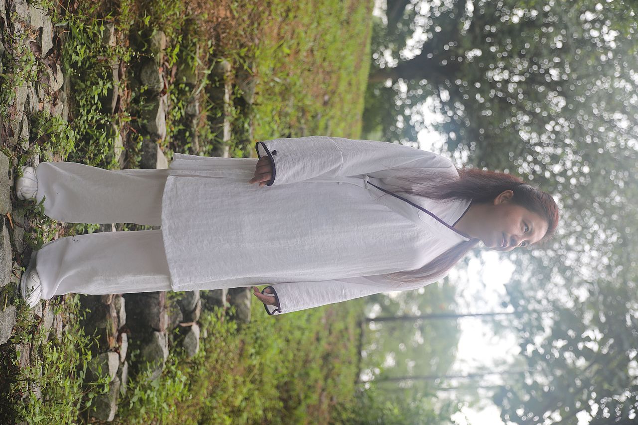 武当道致·理淳