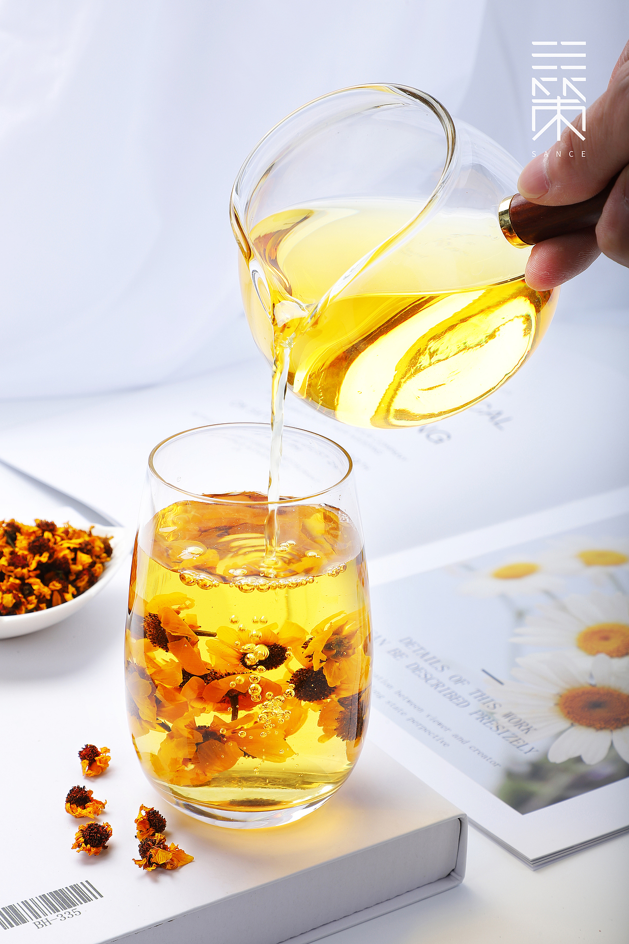 昆仑雪菊图片拍摄摄影