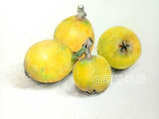 彩鉛枇杷（個(gè)人主頁-ZMjk0MTc0MjQ=） - 繪本 - 站酷設(shè)計(jì)師南楚姑娘沐沐原創(chuàng)素材 - 站酷ZCOOL